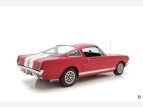 Thumbnail Photo 27 for 1966 Shelby GT350